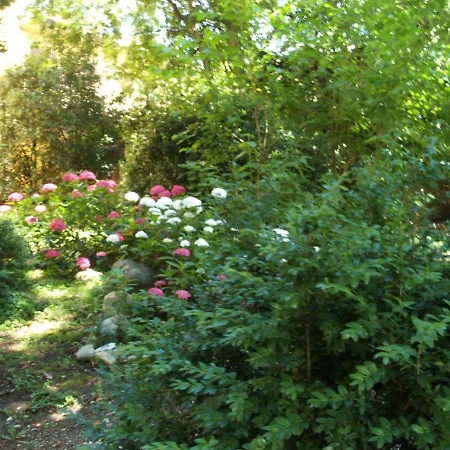 Villa Ghia-3